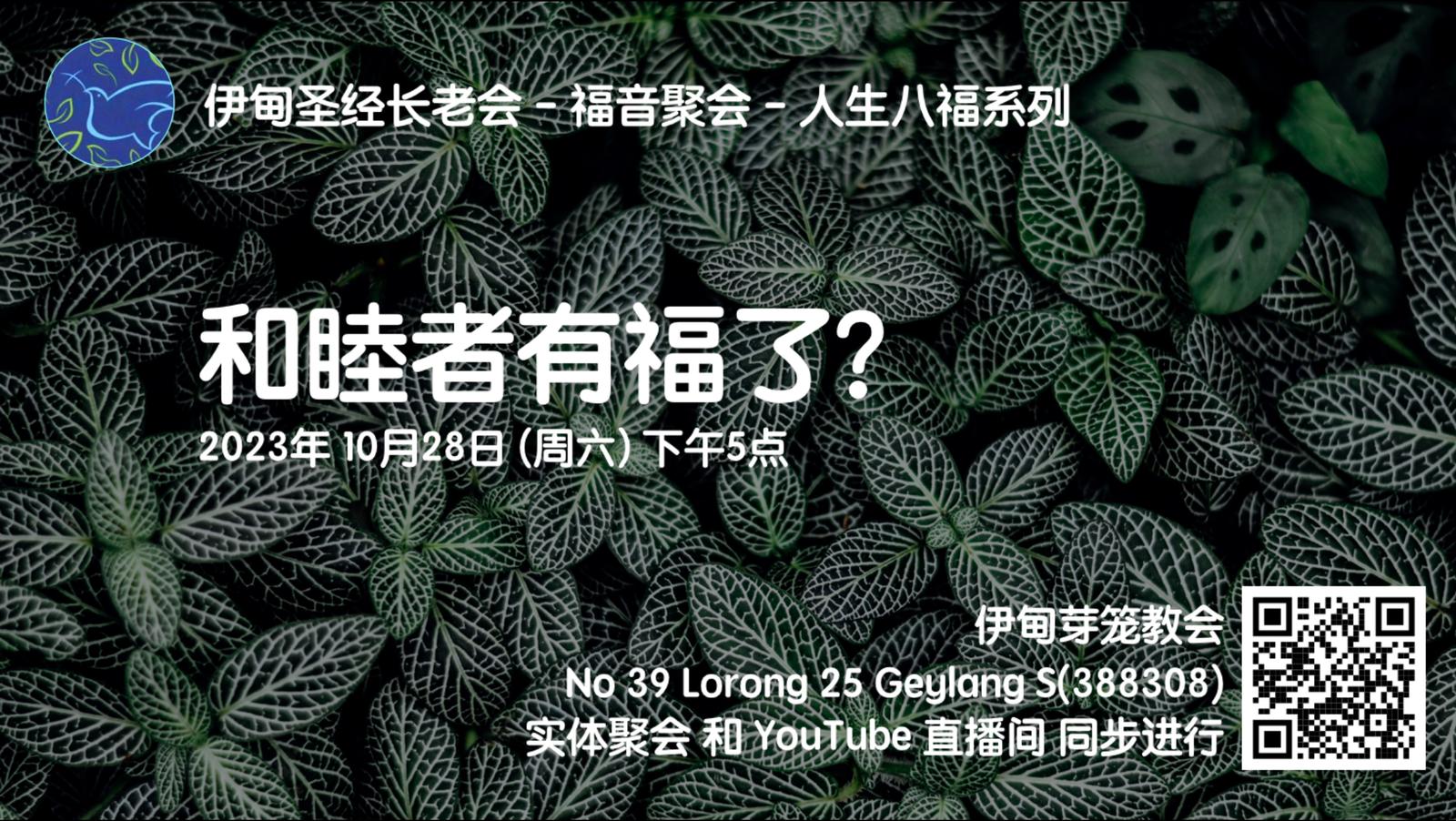 10月28日：和睦者有福了？
