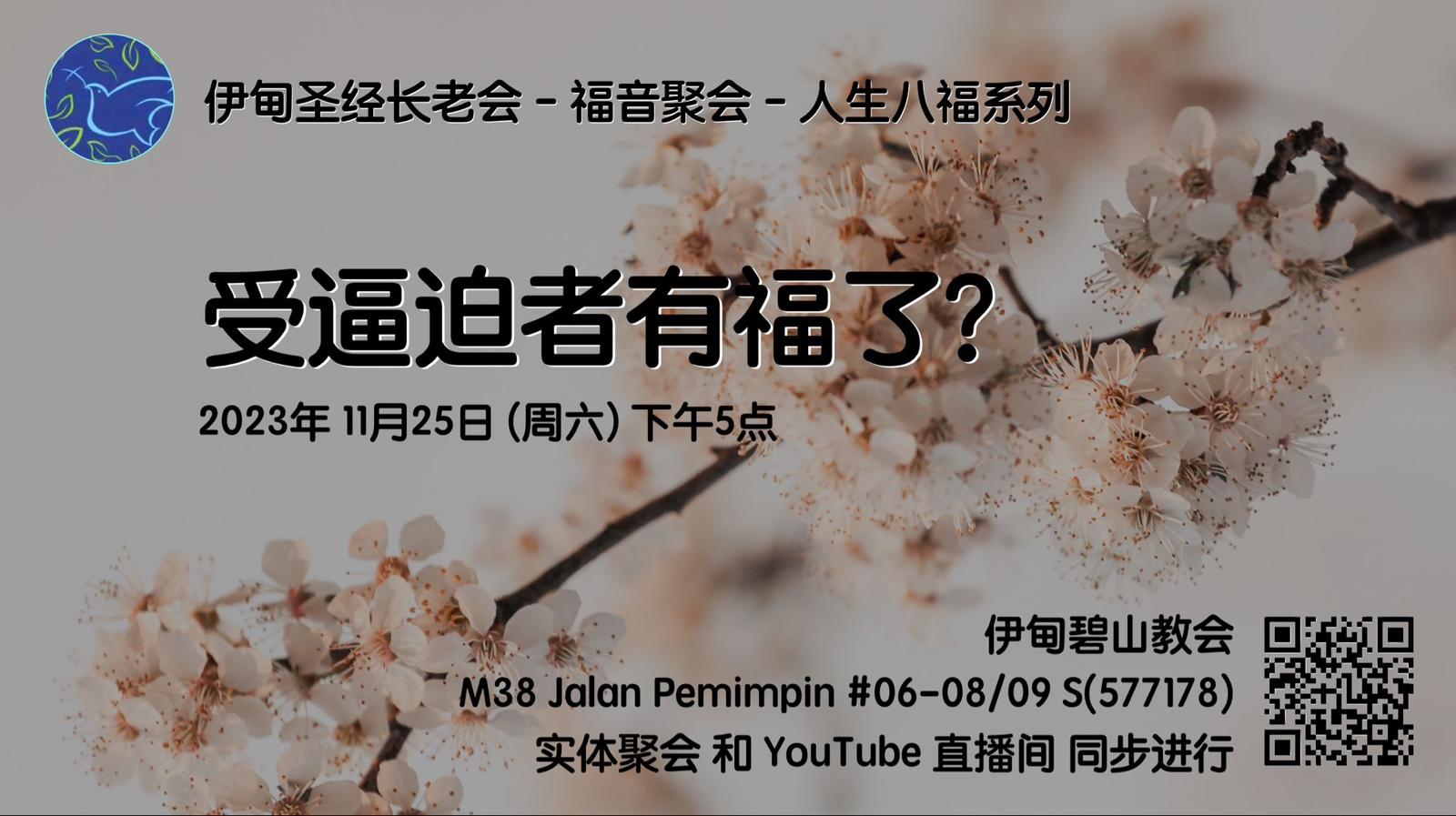 11月25日：受逼迫者有福了？
