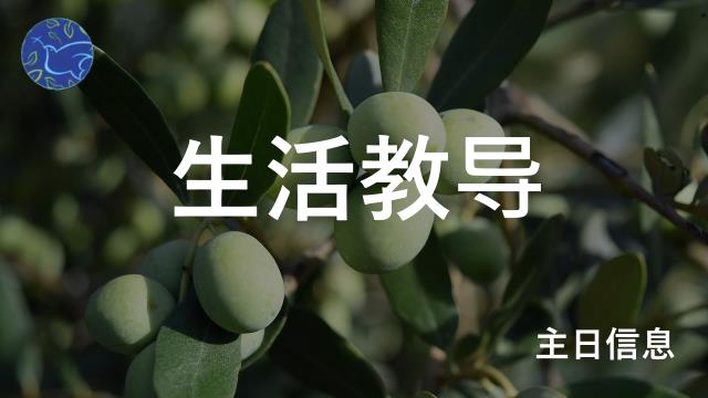 11月26日：人生选择题